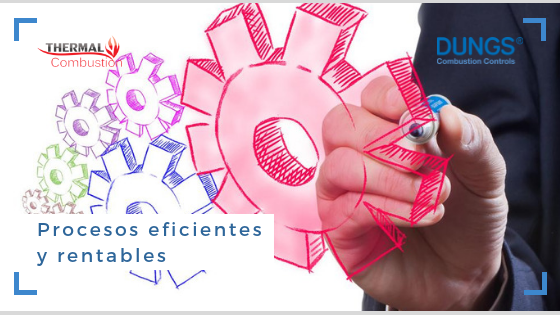 Procesos eficientes y rentables