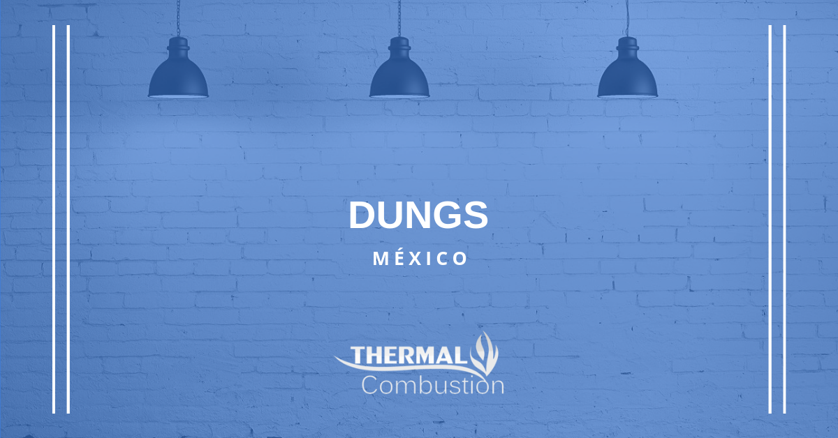 DUNGS México